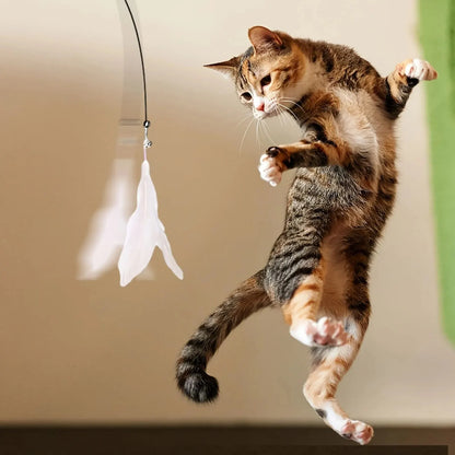 Cat Teaser Wand Toy with Feather & Bell Suction Cup Interactive Play